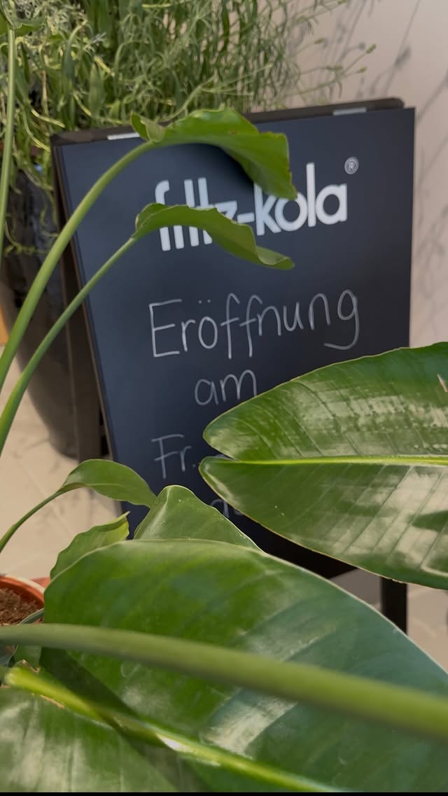 Grüne Zimmerpflanzen vor einer fritz-kola-Tafel mit der handgeschriebenen Kreide-Ankündigung „Eröffnung am Fr.“.